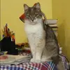 Отзыв от Дарья Дроздова